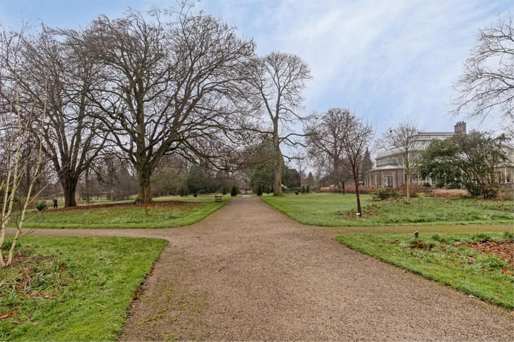 Foto 29 van Korenbloemstraat 14