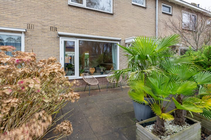 Foto 48 van J.P. Sweelinckstraat 9