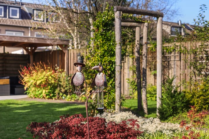 Foto 32 van Pluviusstraat 14