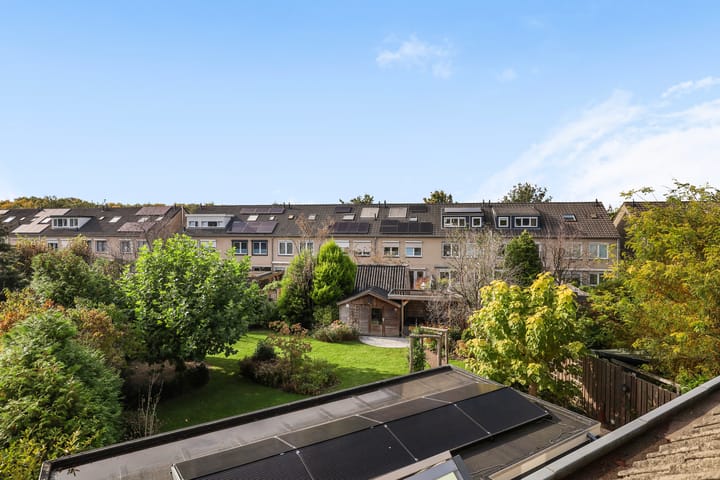 Foto 42 van Pluviusstraat 14