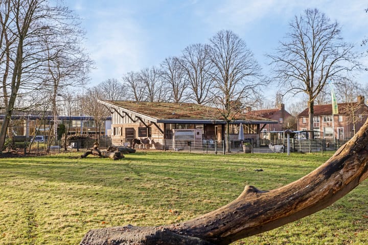 Foto 38 van Burgemeester Libourelstraat 2