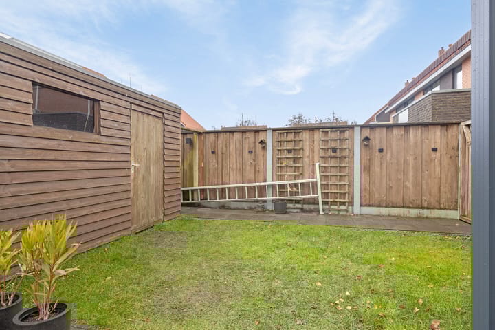 Foto 50 van Bosbeekjuffer 34