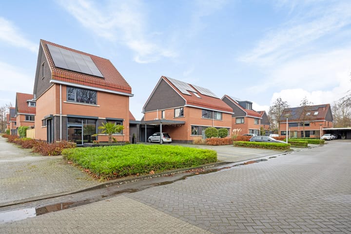 Foto 52 van Bosbeekjuffer 34