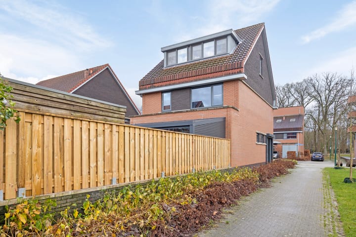 Foto 53 van Bosbeekjuffer 34