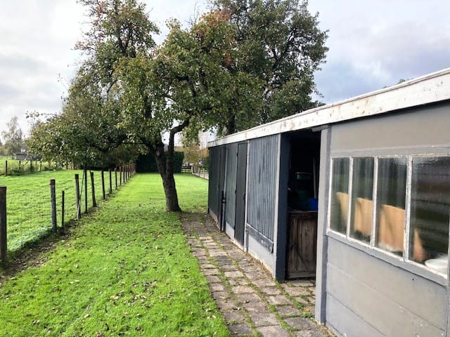 Foto 14 van Lossersestraat 172