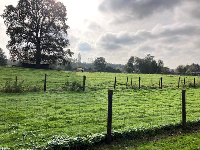 Foto 15 van Lossersestraat 172