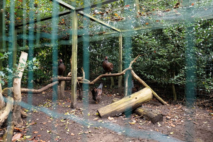 Foto 53 van Prins Hendrikweg 78