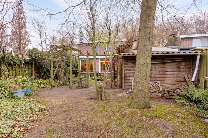 Foto 31 van Salviastraat 4