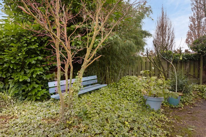 Foto 32 van Salviastraat 4