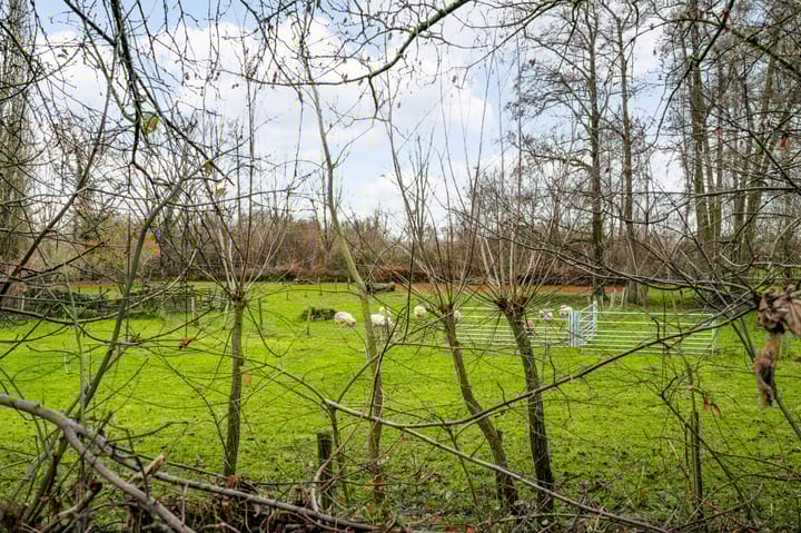 Foto 39 van Herderstraat 28