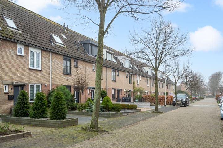 Foto 29 van Vivaldi 3