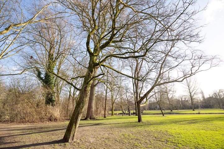 Photo 58 of Reyer Anslostraat 23-2