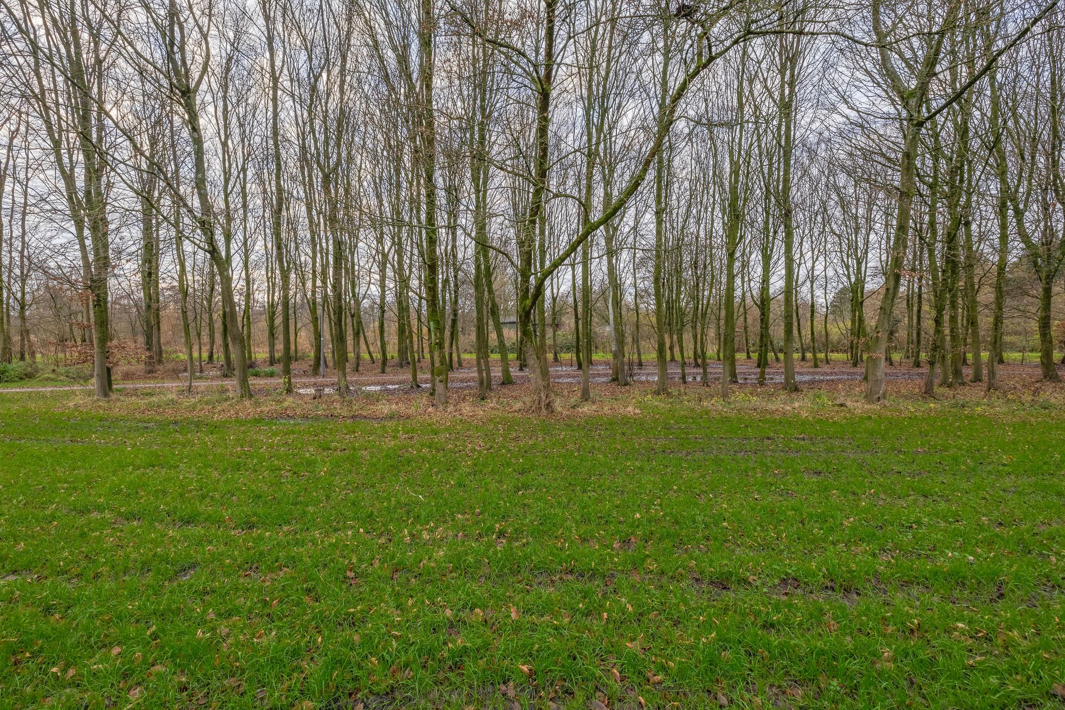 Foto 39 van Kiplingstraat 121