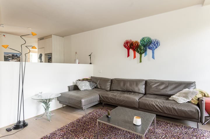 Foto 11 van Schelpkreek 16