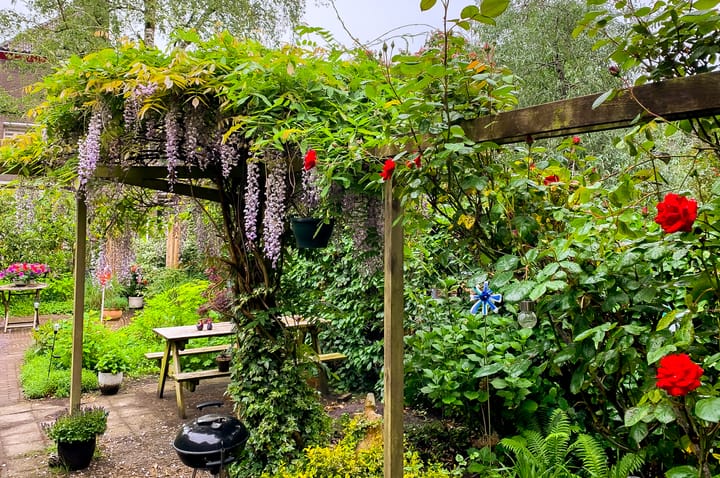 Foto 28 van Schelpkreek 16