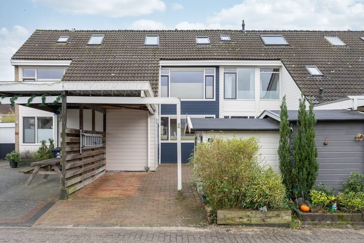 Foto 1 van de Hoppen 56