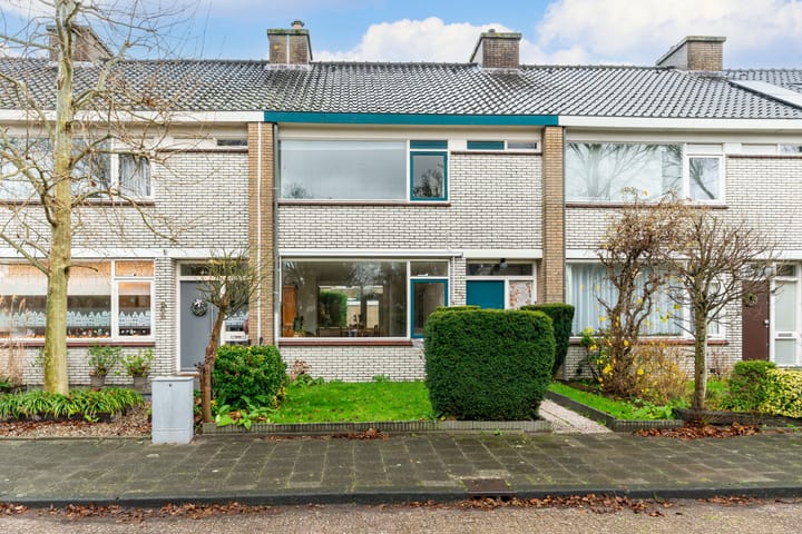 Foto 1 van Van Polanenpark 206