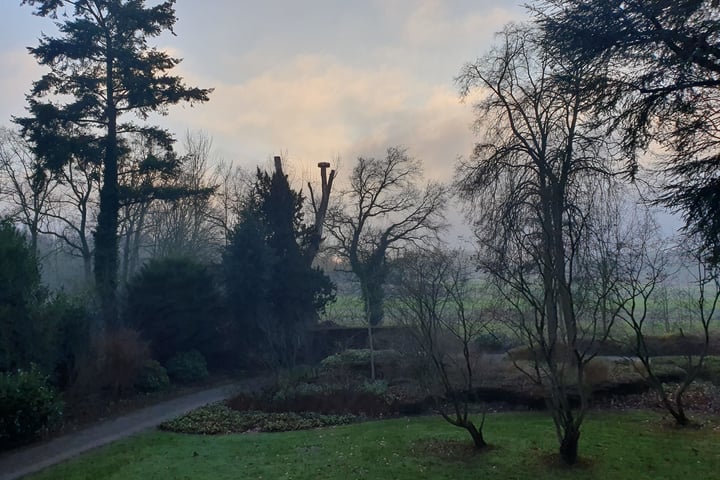 Bekijk foto 10 van Laan van Rijnwijk 1-A17