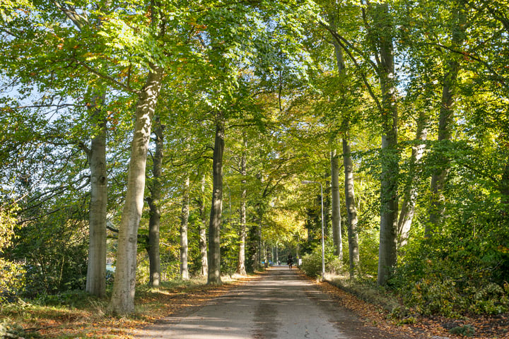 Bekijk foto 38 van Laan van Rijnwijk 1-A17