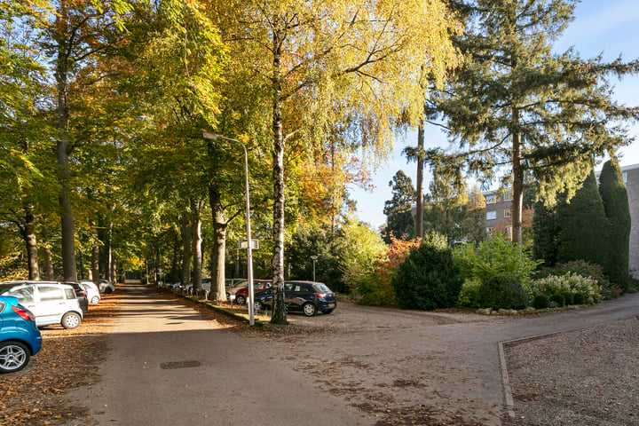 Bekijk foto 39 van Laan van Rijnwijk 1-A17