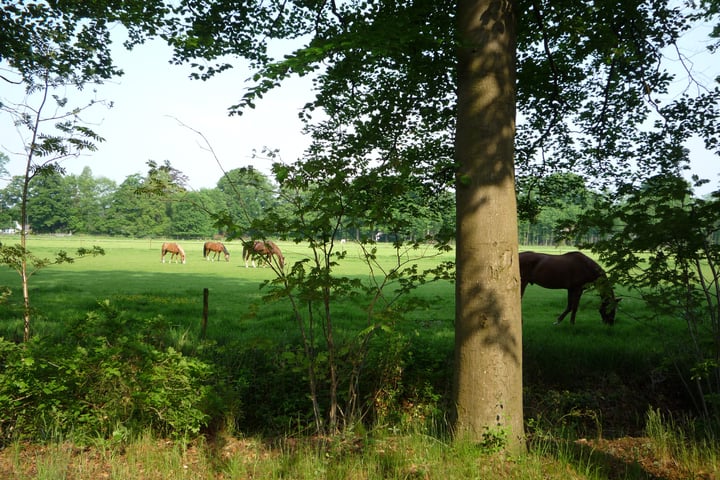 Bekijk foto 41 van Laan van Rijnwijk 1-A17