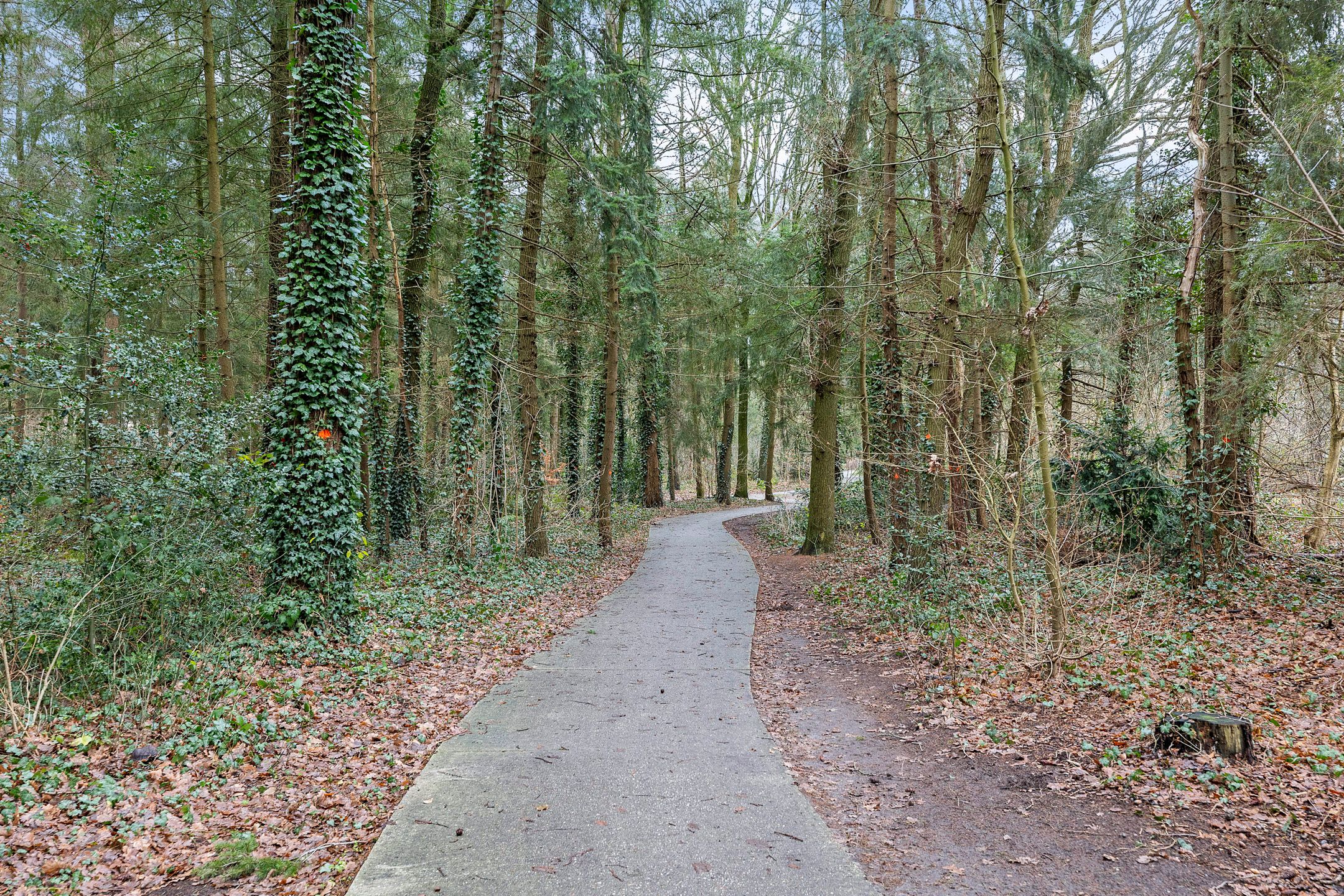 Foto 6 van Valtherzandweg 156