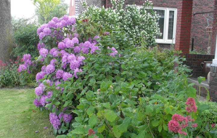 Foto 33 van Timpweg 10