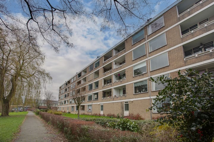 Foto 31 van Paramaribostraat 51