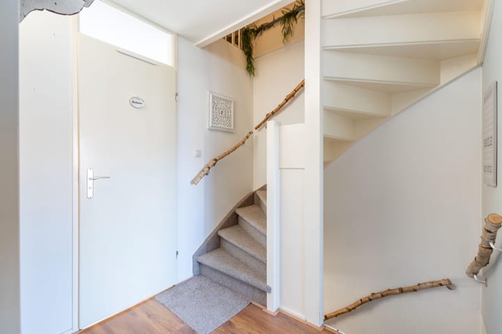 Foto 15 van Botter 36 30