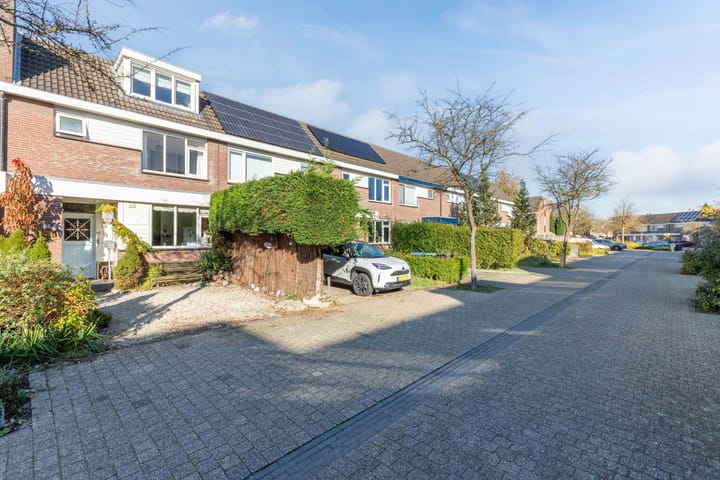 Foto 27 van Botter 36 30