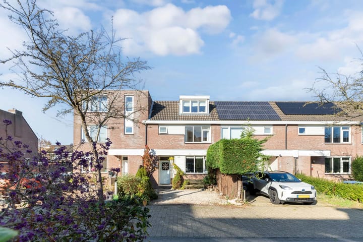 Foto 28 van Botter 36 30