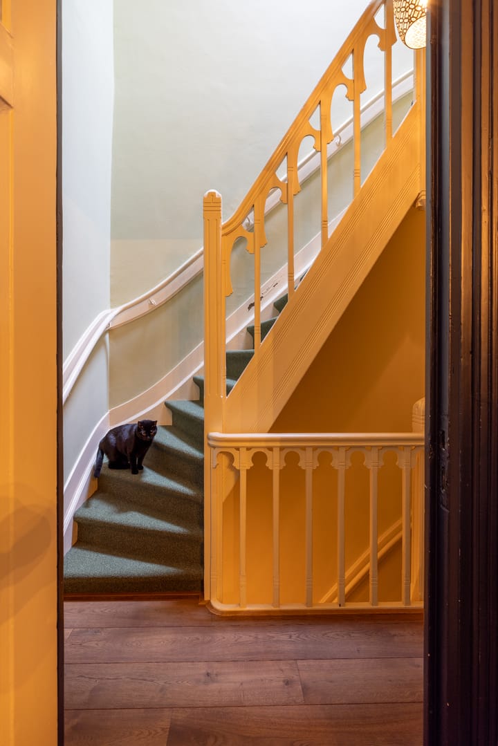 Foto 26 van Heemraadssingel 330-A