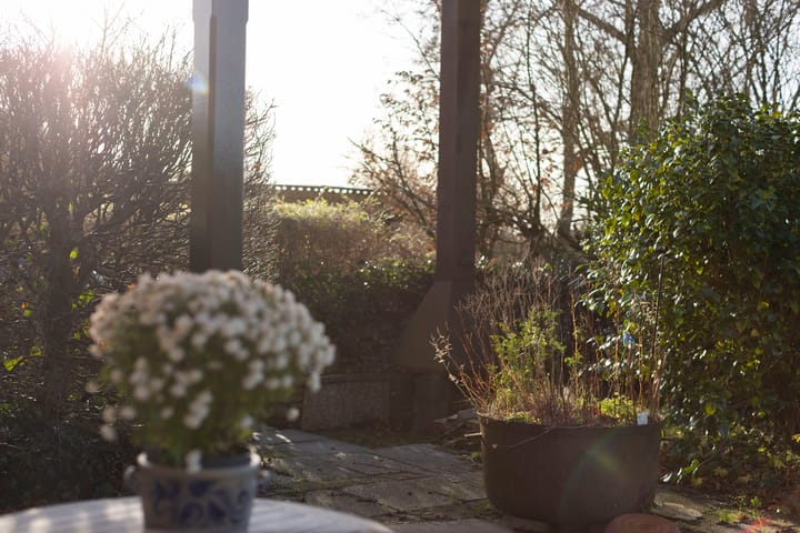 Foto 41 van De Feart 20