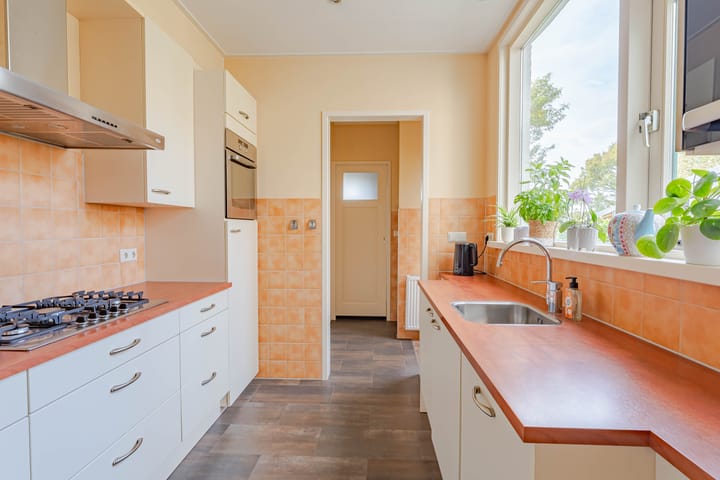 Photo 13 of Goudse Rijweg 56