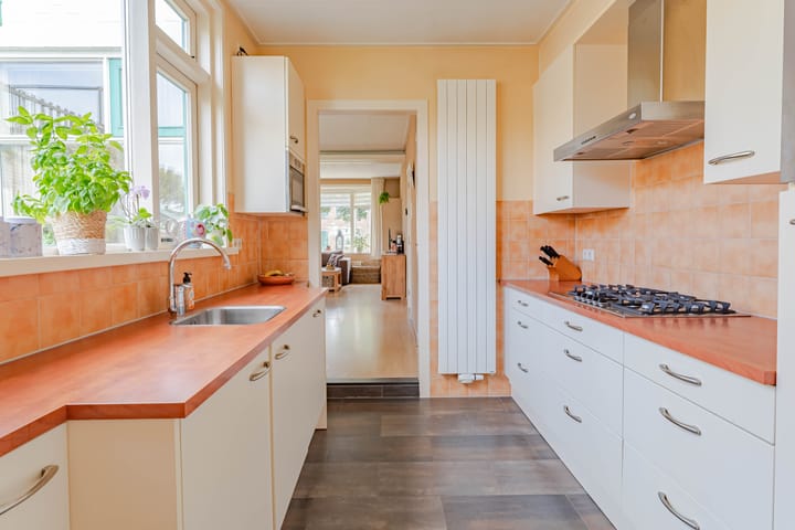 Photo 16 of Goudse Rijweg 56