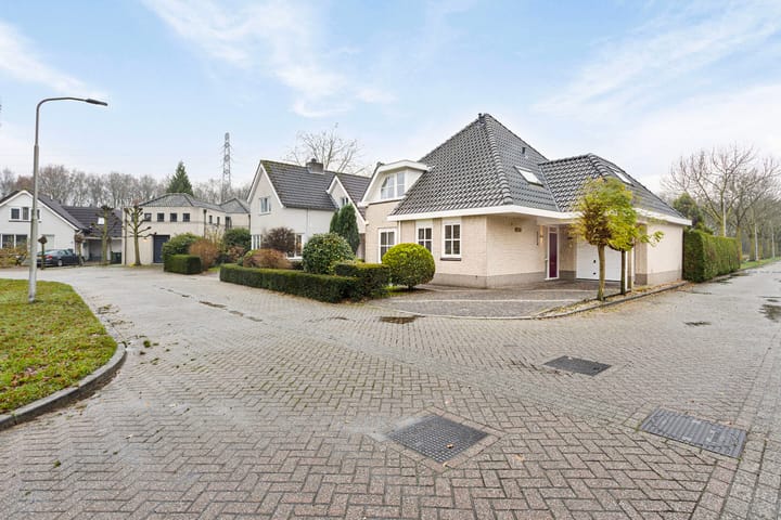 Foto 6 van Holtgesbroek 1228