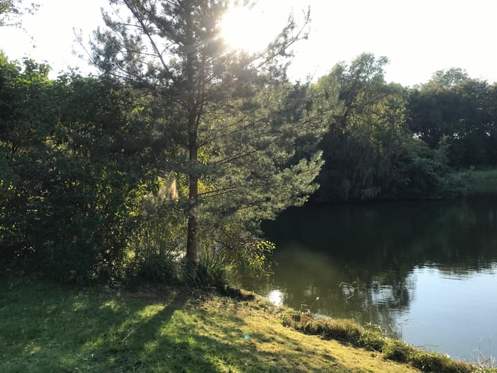 Foto 49 van Holtgesbroek 1228