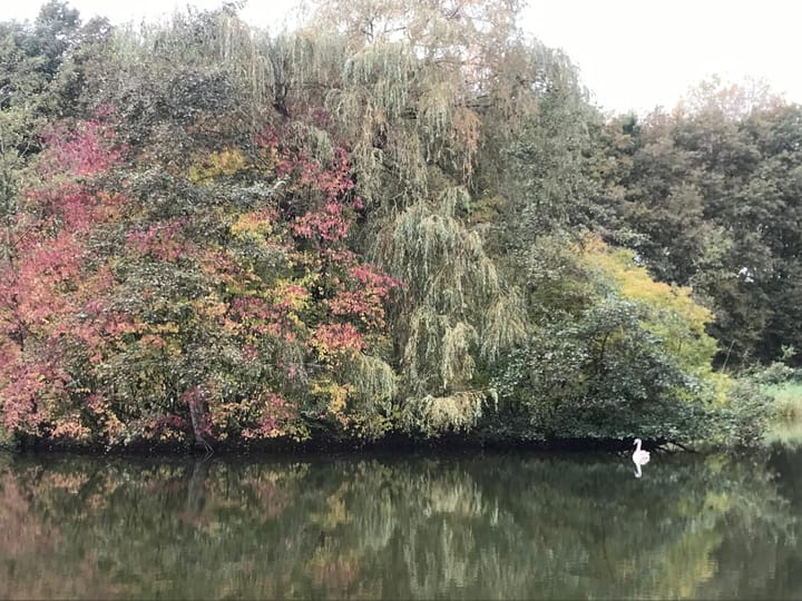 Foto 50 van Holtgesbroek 1228