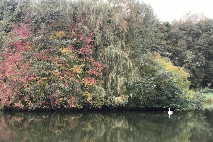 Bekijk foto 50 van Holtgesbroek 1228