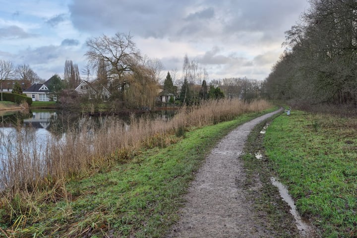 Bekijk foto 51 van Holtgesbroek 1228