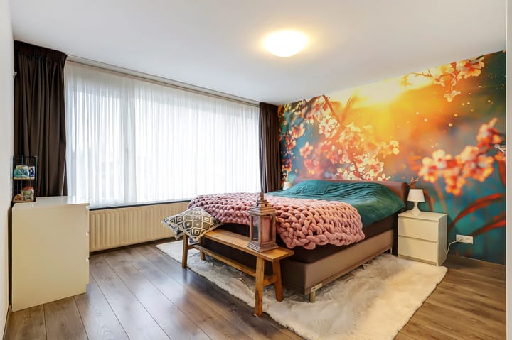 Foto 30 van Orion 16