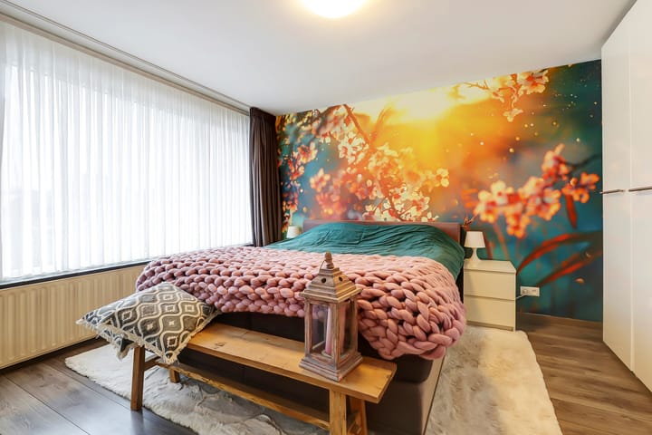 Foto 31 van Orion 16