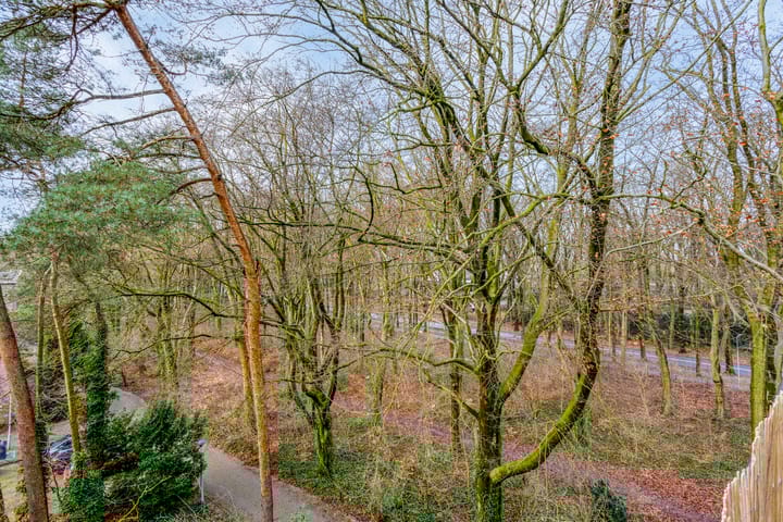 Foto 24 van Berliozstraat 7-4