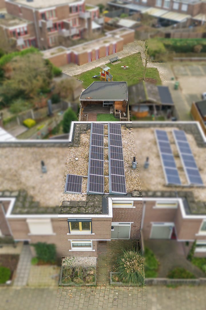 Foto 2 van Klaproos 3