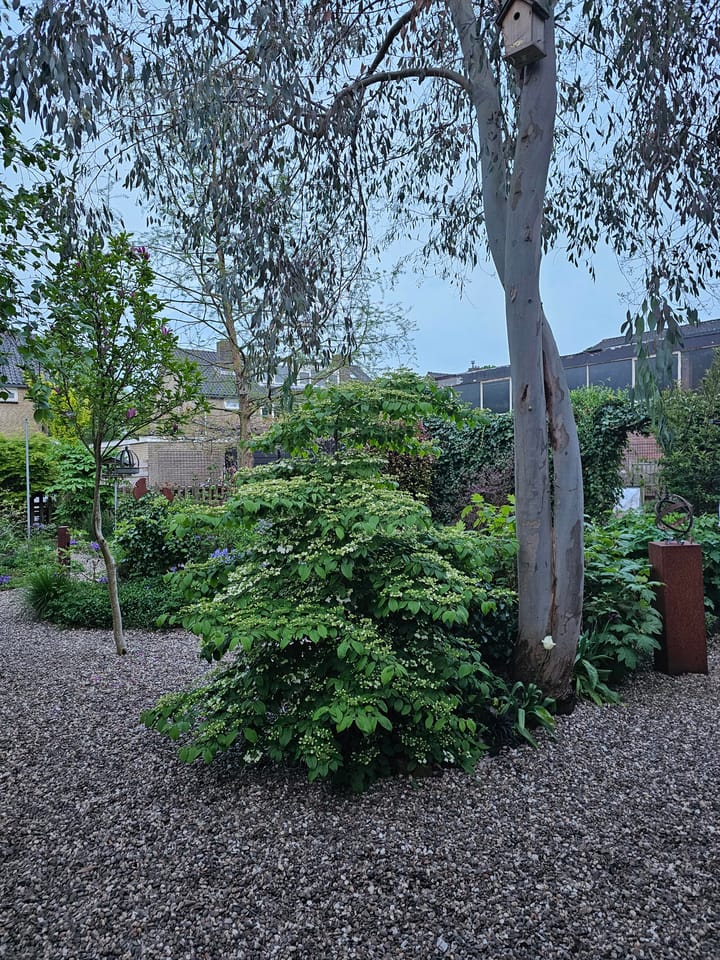 Photo 29 of Schoolstraat 51