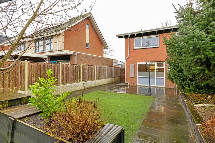 Foto 4 van Kolibrievlinder 61