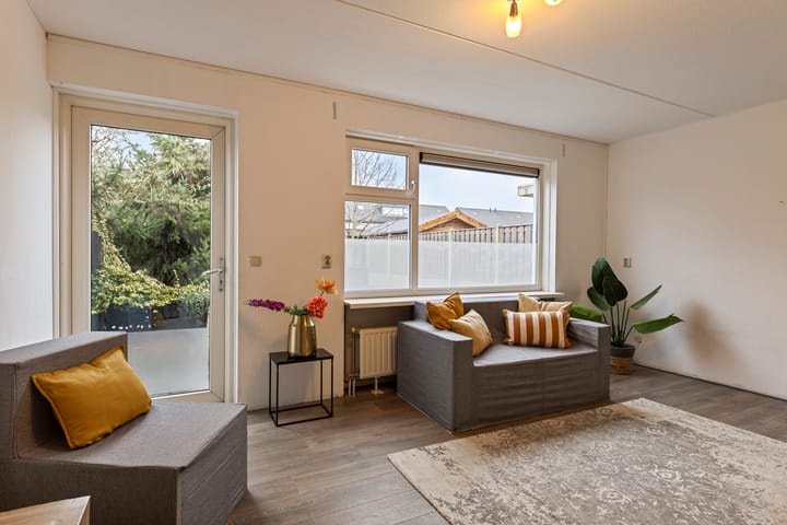 Foto 2 van Kolibrievlinder 61