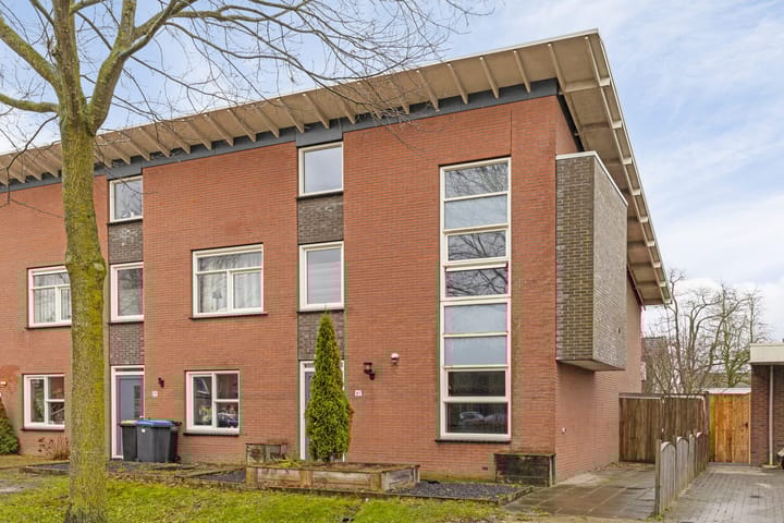 Foto 5 van Kolibrievlinder 61