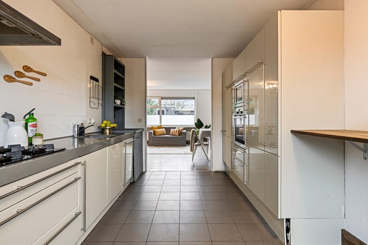 Foto 3 van Kolibrievlinder 61