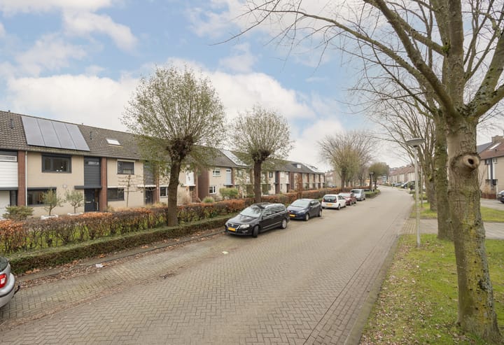 Foto 41 van Boeieraak 62